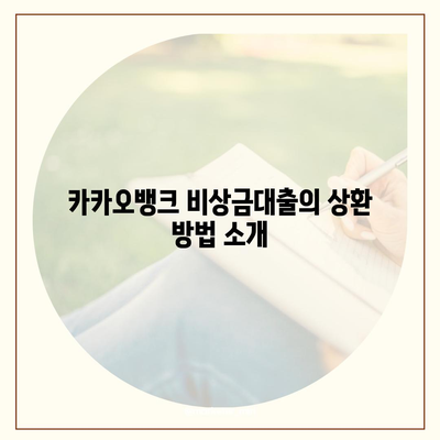 카카오뱅크 비상금대출 상환