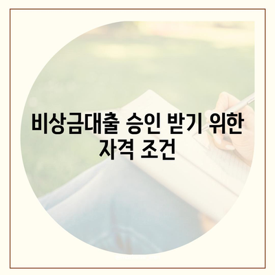 카카오뱅크 비상금대출 거절