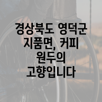 경상북도 영덕군 지품면, 커피 원두의 고향입니다