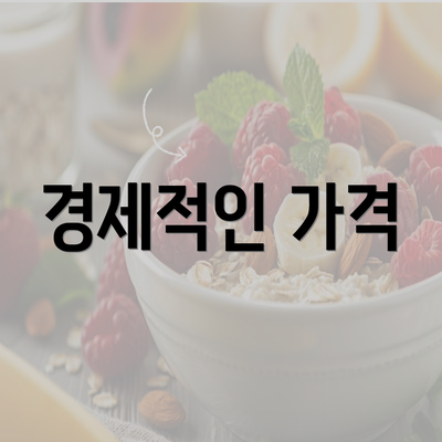 경제적인 가격