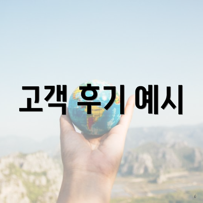 고객 후기 예시