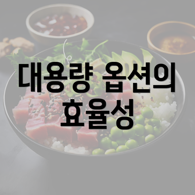 대용량 옵션의 효율성