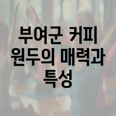 부여군 커피 원두의 매력과 특성