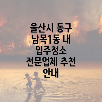 울산시 동구 남목1동 내 입주청소 전문업체 추천 안내