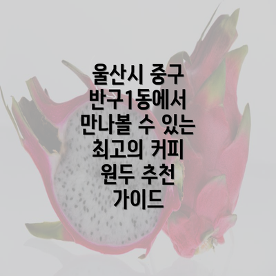 울산시 중구 반구1동에서 만나볼 수 있는 최고의 커피 원두 추천 가이드