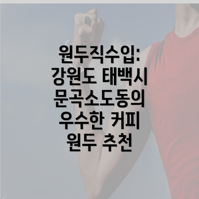 원두직수입: 강원도 태백시 문곡소도동의 우수한 커피 원두 추천