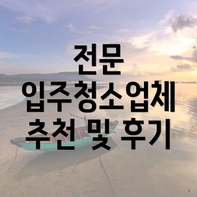 전문 입주청소업체 추천 및 후기