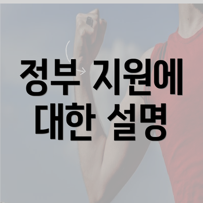 정부 지원에 대한 설명