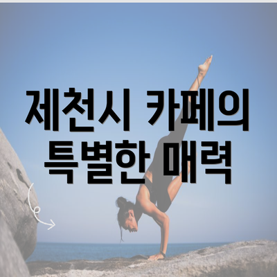 제천시 카페의 특별한 매력