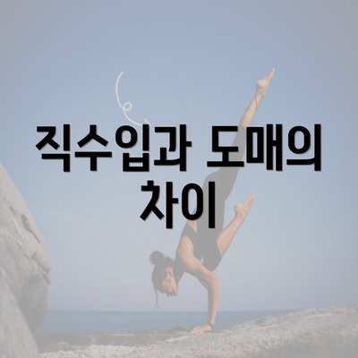 직수입과 도매의 차이