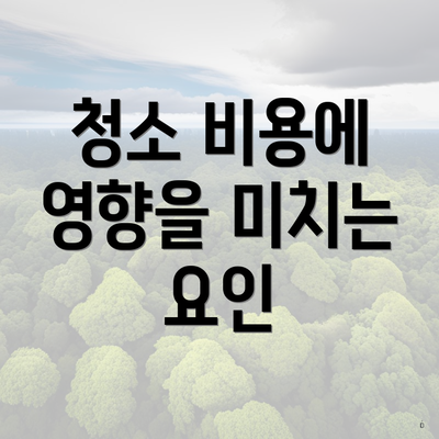 청소 비용에 영향을 미치는 요인