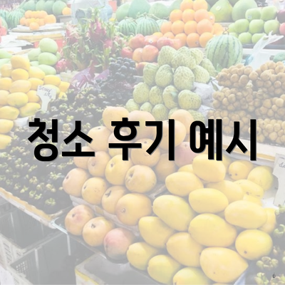 청소 후기 예시