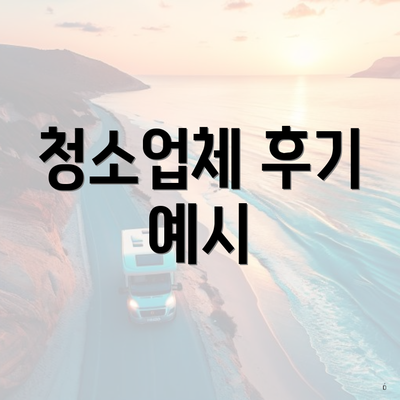 청소업체 후기 예시