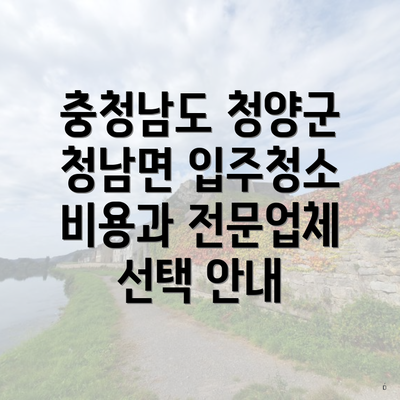 충청남도 청양군 청남면 입주청소 비용과 전문업체 선택 안내