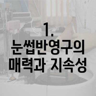 1. 눈썹반영구의 매력과 지속성