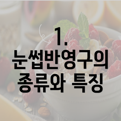 1. 눈썹반영구의 종류와 특징