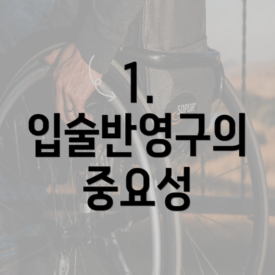 1. 입술반영구의 중요성