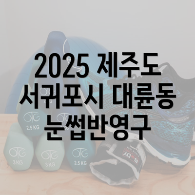 2025 제주도 서귀포시 대륜동 눈썹반영구