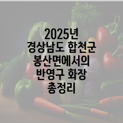 2025년 경상남도 합천군 봉산면에서의 반영구 화장 총정리