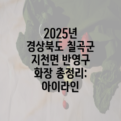 2025년 경상북도 칠곡군 지천면 반영구 화장 총정리: 아이라인