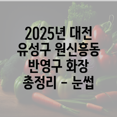 2025년 대전 유성구 원신흥동 반영구 화장 총정리 - 눈썹