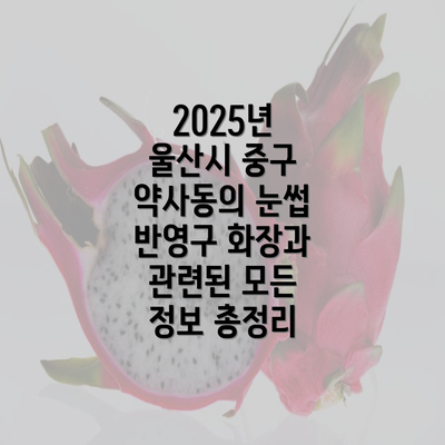 2025년 울산시 중구 약사동의 눈썹 반영구 화장과 관련된 모든 정보 총정리