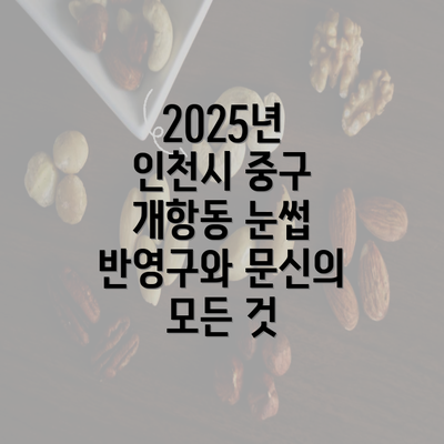 2025년 인천시 중구 개항동 눈썹 반영구와 문신의 모든 것