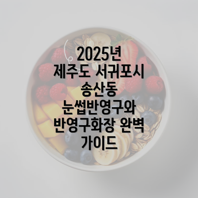 2025년 제주도 서귀포시 송산동 눈썹반영구와 반영구화장 완벽 가이드