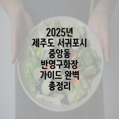 2025년 제주도 서귀포시 중앙동 반영구화장 가이드 완벽 총정리