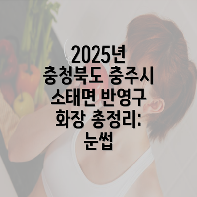 2025년 충청북도 충주시 소태면 반영구 화장 총정리: 눈썹