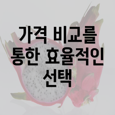 가격 비교를 통한 효율적인 선택
