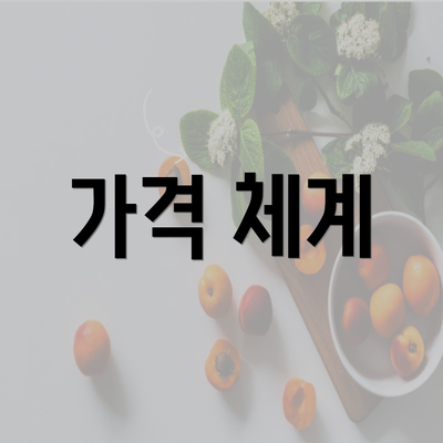 가격 체계