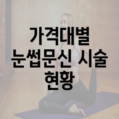 가격대별 눈썹문신 시술 현황