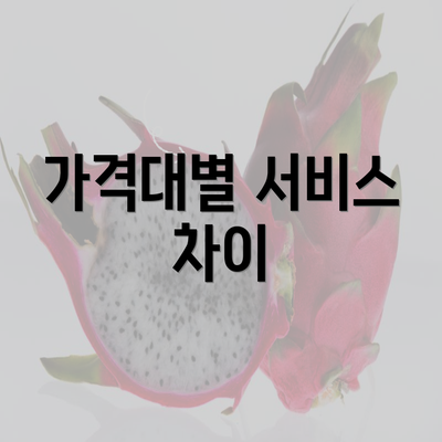 가격대별 서비스 차이