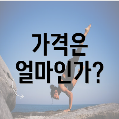 가격은 얼마인가?