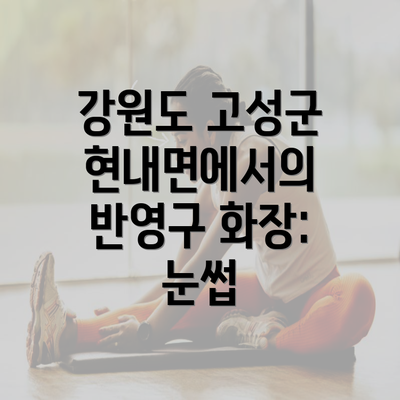 강원도 고성군 현내면에서의 반영구 화장: 눈썹