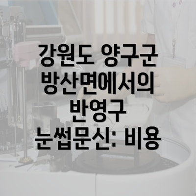 강원도 양구군 방산면에서의 반영구 눈썹문신: 비용