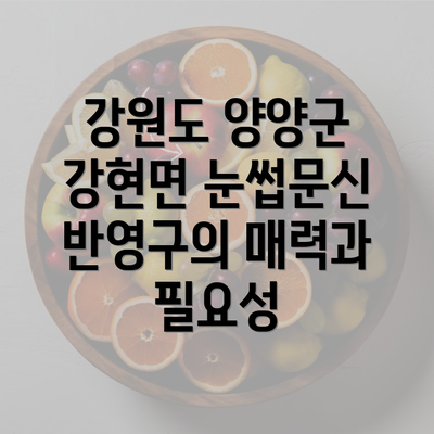 강원도 양양군 강현면 눈썹문신 반영구의 매력과 필요성