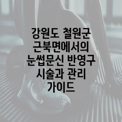 강원도 철원군 근북면에서의 눈썹문신 반영구 시술 개요