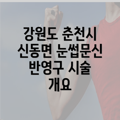 강원도 춘천시 신동면 눈썹문신 반영구 시술 개요