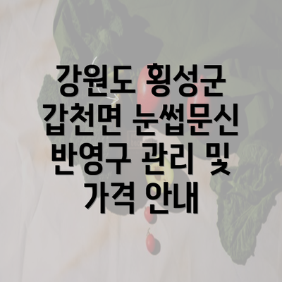 강원도 횡성군 갑천면 눈썹문신 반영구 관리 및 가격 안내