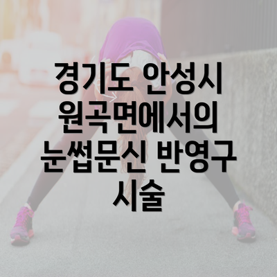 경기도 안성시 원곡면에서의 눈썹문신 반영구 시술