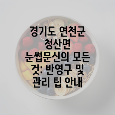 경기도 연천군 청산면 눈썹문신의 모든 것: 반영구 및 관리 팁 안내