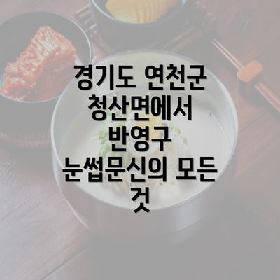 경기도 연천군 청산면에서 반영구 눈썹문신의 모든 것