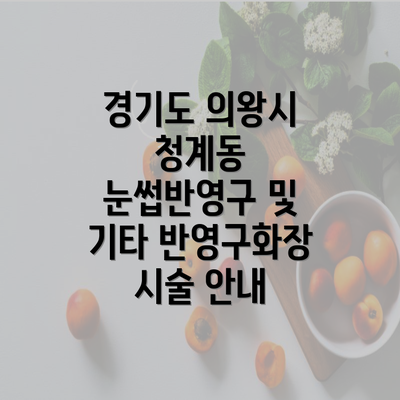 경기도 의왕시 청계동 눈썹반영구 및 기타 반영구화장 시술 안내