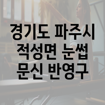 경기도 파주시 적성면 눈썹 문신 반영구