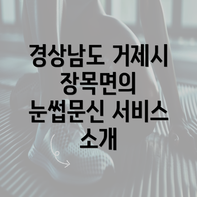 경상남도 거제시 장목면의 눈썹문신 서비스 소개