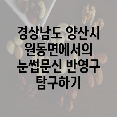 경상남도 양산시 원동면에서의 눈썹문신 반영구 탐구하기