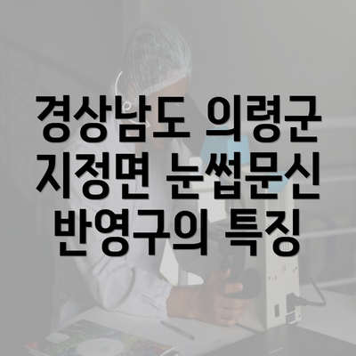 경상남도 의령군 지정면 눈썹문신 반영구의 특징