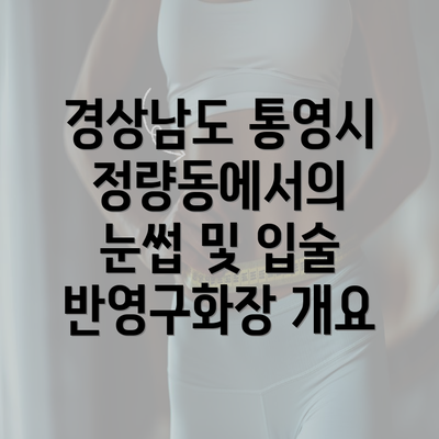 경상남도 통영시 정량동에서의 눈썹 및 입술 반영구화장 개요